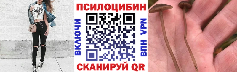 Галлюциногенные грибы прущие грибы  продажа наркотиков  Алейск 