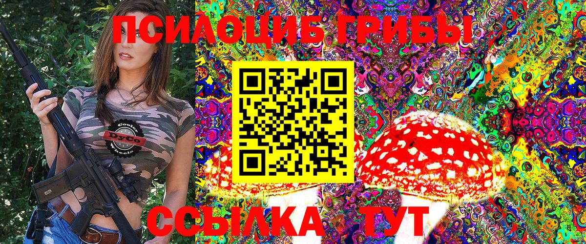 Галлюциногенные грибы Psilocybine cubensis Алейск