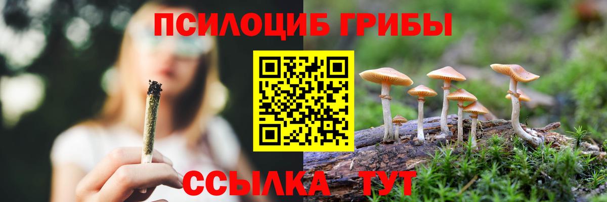 Галлюциногенные грибы ЛСД  Вход с VPN  Псилоцибиновые грибы GOLDEN TEACHER  Алейск 