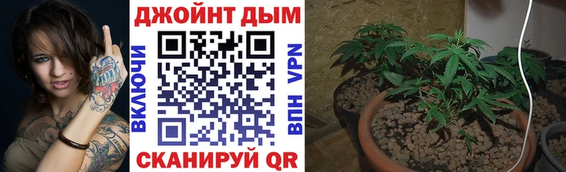 shop наркотические препараты где купить наркоту Алейск Марихуана White Widow